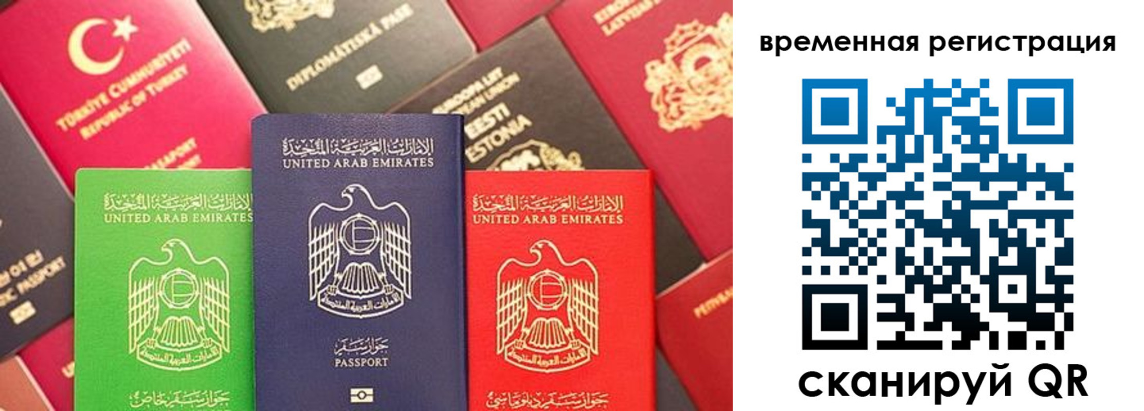 временная регистрация гарантия в Димитровграде